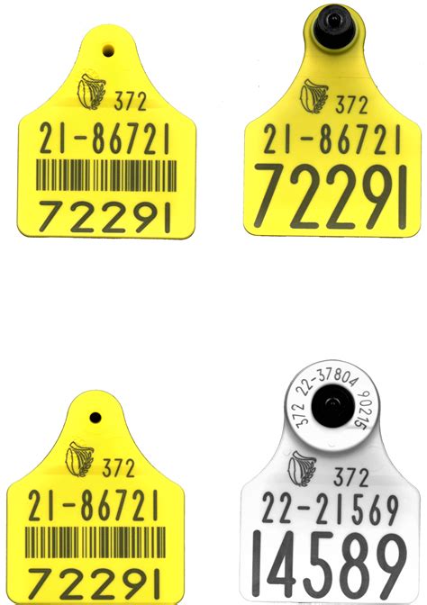 cow rfid tag placement|allflex livestock tags.